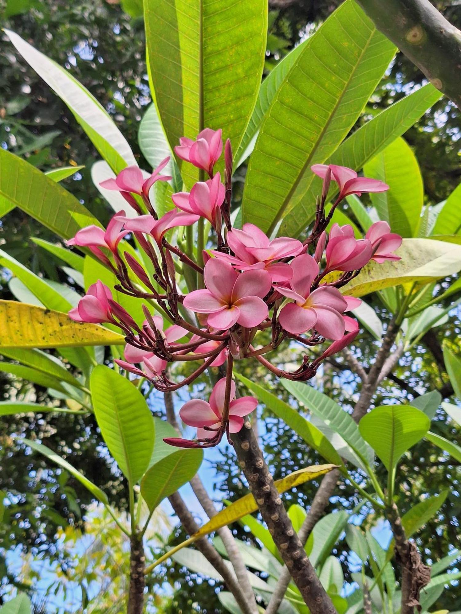 Lendang Eco Lodge Senggigi Dış mekan fotoğraf