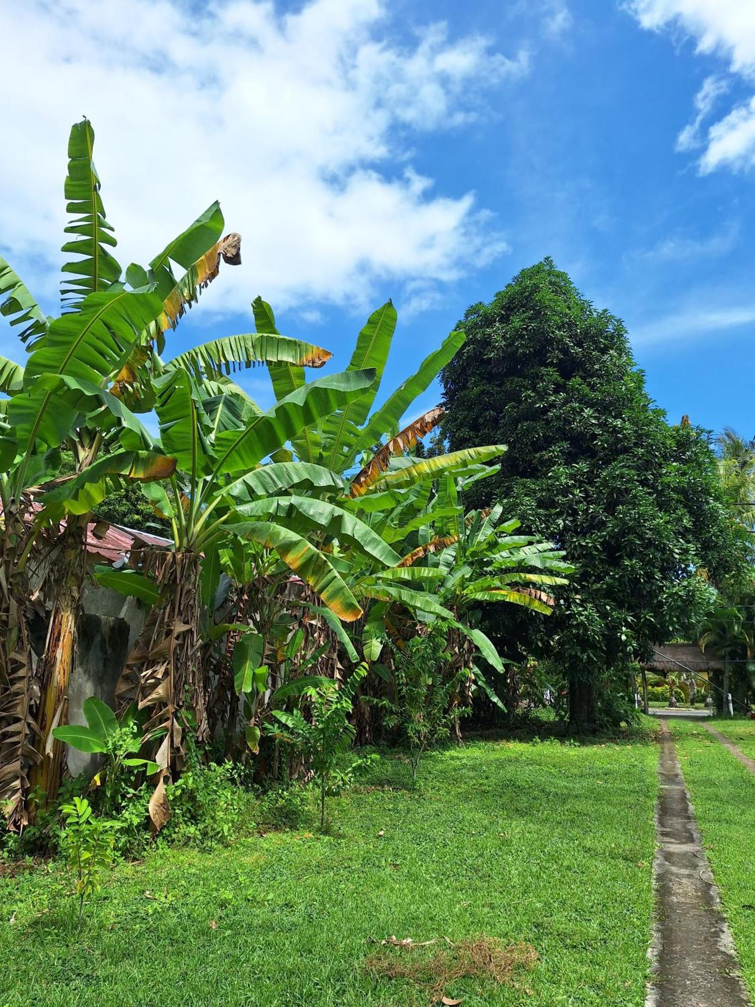 Lendang Eco Lodge Senggigi Dış mekan fotoğraf