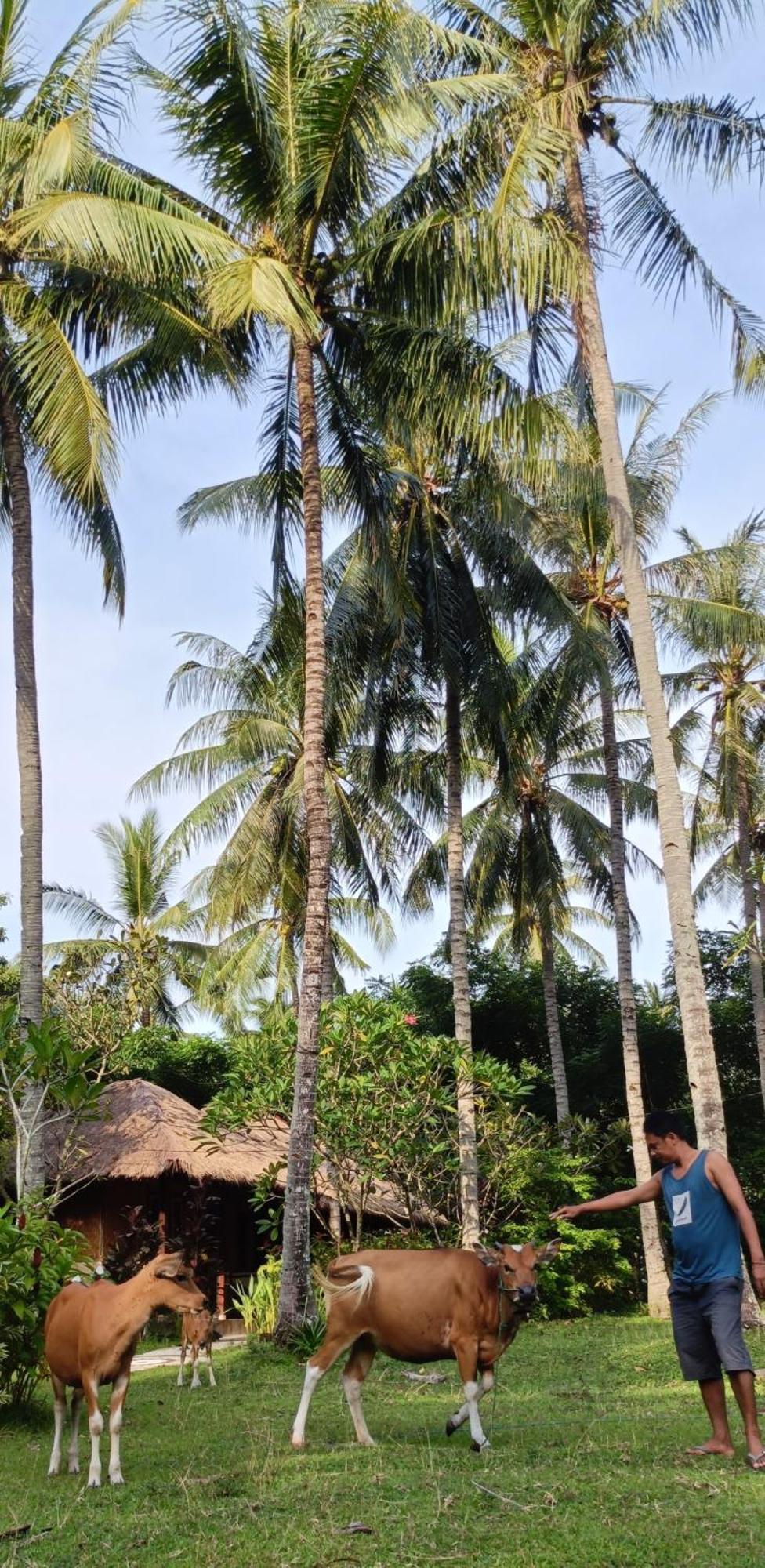 Lendang Eco Lodge Senggigi Dış mekan fotoğraf