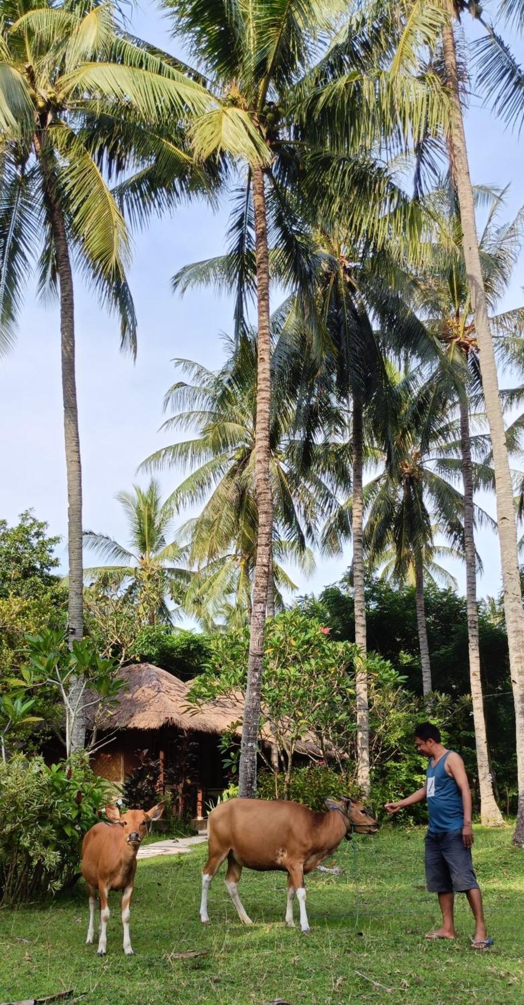 Lendang Eco Lodge Senggigi Dış mekan fotoğraf