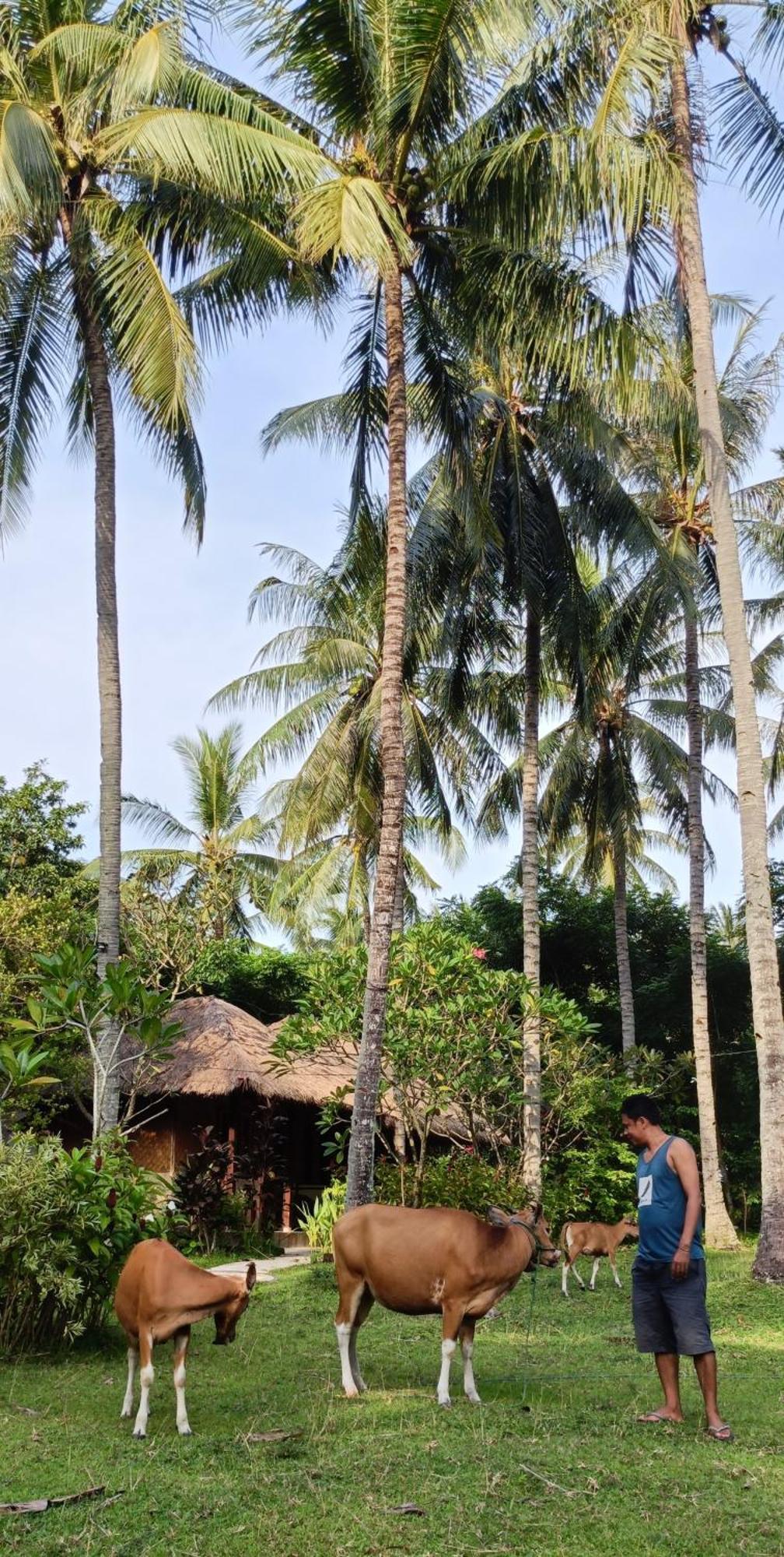 Lendang Eco Lodge Senggigi Dış mekan fotoğraf